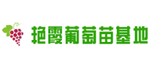 昌黎艳霞葡萄苗基地