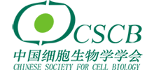 中国细胞生物学学会