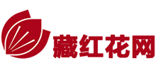 藏红花网