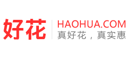 好花网