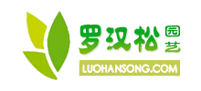 罗汉松园艺网