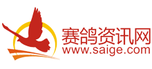 赛鸽资讯网