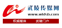 武陵传媒网