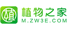 植物之家
