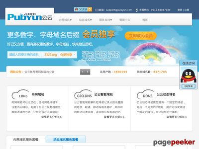 领先的云计算、动态域名服务提供商