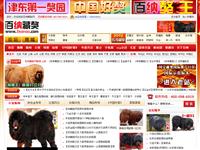 百纳藏獒—藏獒在线视频第一站