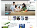 伊莱克斯(Electrolux) 伊莱克斯(Electrolux)