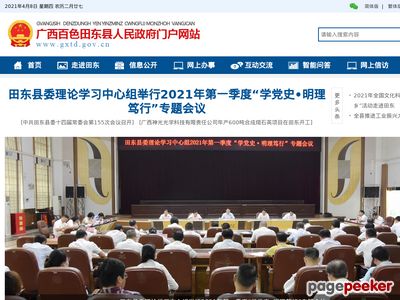 田东县人民政府网