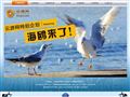 云游网