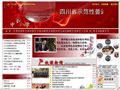 成都市通锦中学