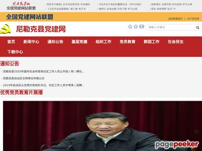 尼勒克县党建网