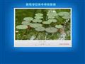 芜湖市第三中学